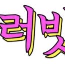 밍키애견 이미지