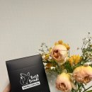 주식회사 벨라 이미지