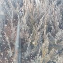 블루엔젤 하우스 이미지