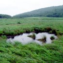 (주)통일관광 이미지