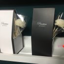 지엠세차장 이미지