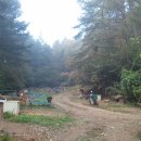 대식농장 이미지