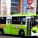 사파동214 이미지