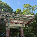 꽃과차가있는샘터 | 경주 여행 수국 꽃구경 기림사 수국 현황, 아기자기 예쁜 정원이 인상적인 사찰
