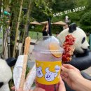 월드이용원 이미지