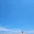 죠이민박 | ::삼척 가볼만한곳::신남해수욕장 스노쿨링 명소 텐트 취사 주차 샤워(장단점)