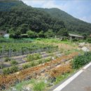 원송리마을회관 이미지