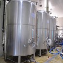 트레비어 이미지