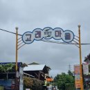 산책로417번길 | 봄의 보랏빛 비밀정원, 울산 장생포 고래문화마을 라벤더 정원 완전 가이드