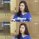 견생냥품 이미지