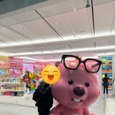 [호주 신혼여행] OZ601타고 해밀턴아일랜드 1일차, 비치클럽 숙소 3박 체크인