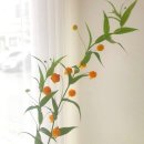 플럼블라썸(Plum Blossom) 이미지