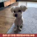 대왕암엘크루아파트 이미지
