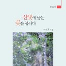 서성호 - 산빛에 물든 꽃을 봅니다 이미지