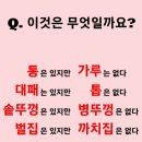 심심풀이 이미지