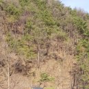 청도부동산공인중개사사무소 이미지