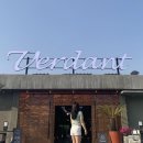 청도 | [경북 청도] 대형카페 청도 버던트 후기 🌿 제주느낌나는 아보카도카페