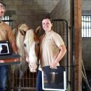 우리종합 동물병원 이미지