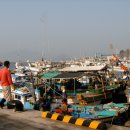 삼천포팔포 이미지