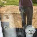 토르스테이 이미지