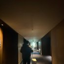 웰컴비지니스호텔 | 머큐어 서울 마곡 비지니스 호텔 호캉스 객실 조식 장점