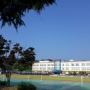 신녕중학교 이미지