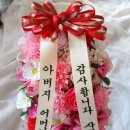 아뮤장 이미지