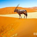 권*각