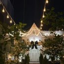 압구정-203 이미지