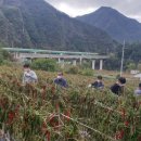 정선군농업기술센터 이미지