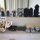 제이에스농수산물