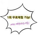 도도핏