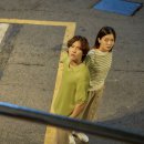 일영약국 이미지