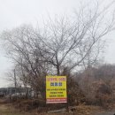 인천광역시 강화군 길상면사무소 | 서울근교 캠핑장/ 인천 강화도 캠핑장 내돈내산후기/ [강화도아침캠핑장]