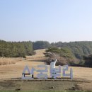 제주산굼부리분화구 | 제주 오름 추천 겨울 제주도 산굼부리 분화구