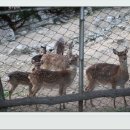 근원목장 이미지