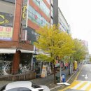 대건치과의원 네이버블로그
