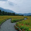 가조온천 이미지