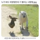 <동명동 팁시> 딥시 deepsy 후기 광주 솔로파티