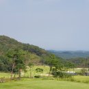 스톤게이트C.C 이미지