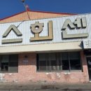 맘모스９호집
