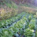 유암농장 이미지