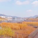 연기면_세종호수공원 제1주차장 이미지