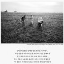 디레디레 이미지