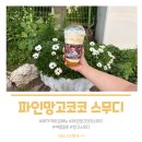 커피코코 - 수성구 동원로 135 | 메가커피 신메뉴 파인망고코코 스무디 후기, 강아지 산책 후 마셔본 여름 음료