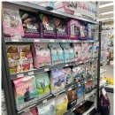 펫클럽강릉내곡점 이미지