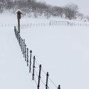 산내음 목장 이미지