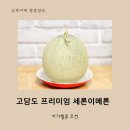 세론이메론 당도선별보장된 아기멜론 추천