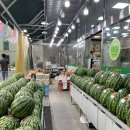 [전주 식자재 마트] 착한가게 &#39;와이식자재마트 모악로점&#39; 방문후기,새벽마다 들리는 단골 마트