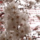 한수 이미지